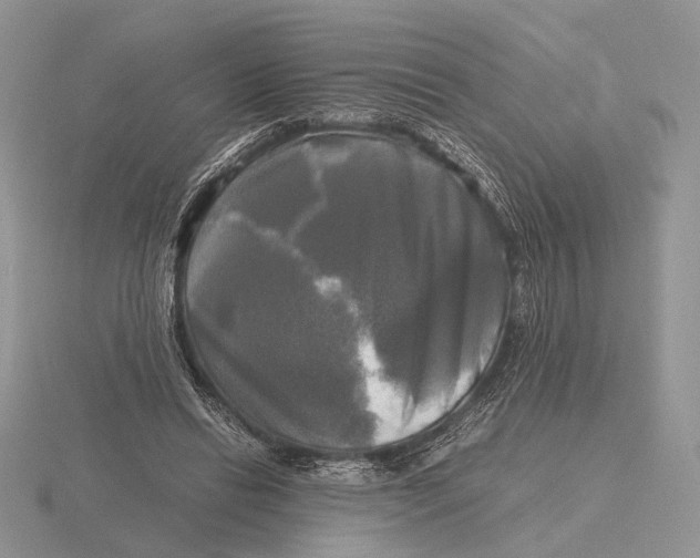 X0000115660446200912101055