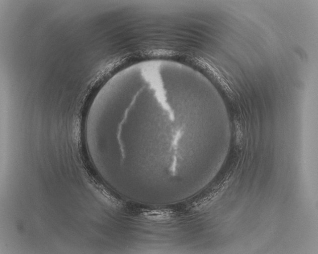 X0000115660447200912101055