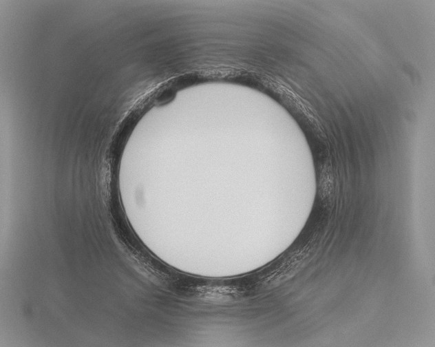 X0000115660448200912101055