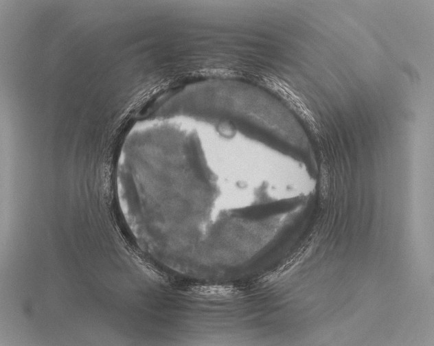 X0000115660449200912101055