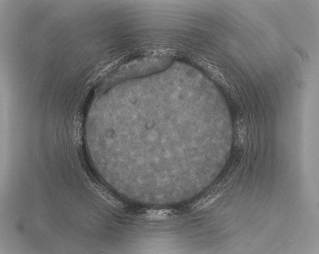 X0000115660450200912101055