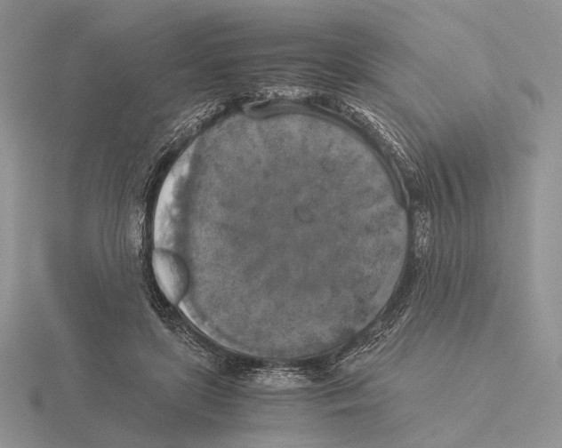 X0000115660451200912101055