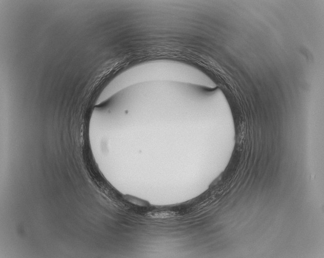 X0000115660452200912101055