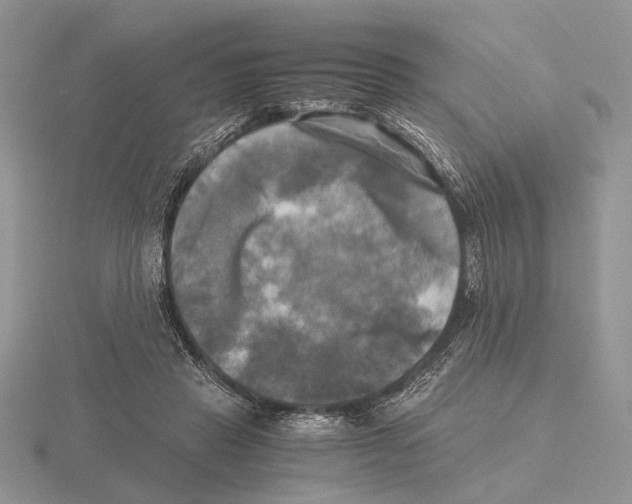 X0000115660453200912101055