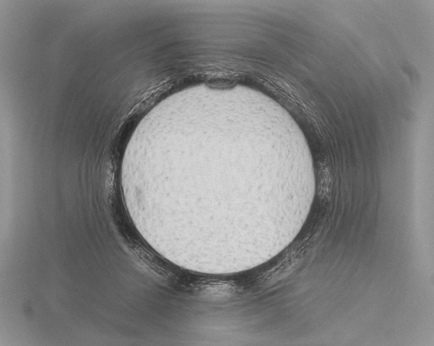 X0000115660456200912101055