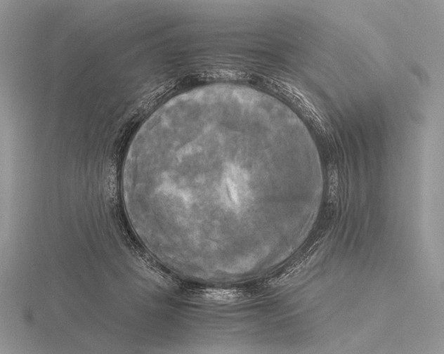 X0000115660457200912101055