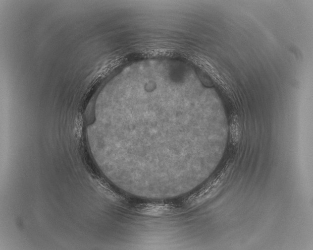 X0000115660458200912101055