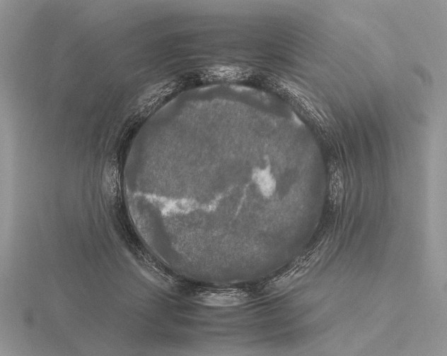 X0000115660459200912101055