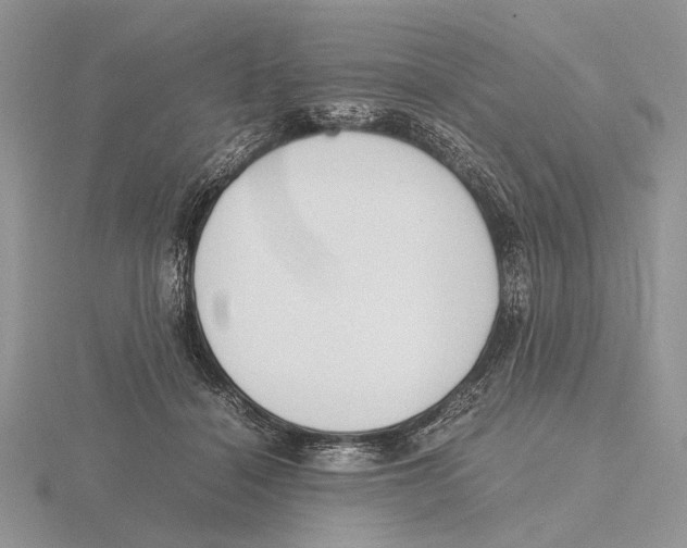 X0000115660460200912101055