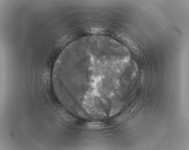 X0000115660461200912101055