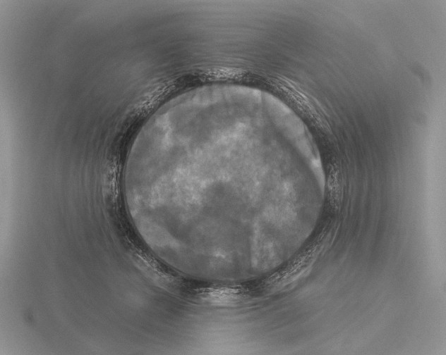 X0000115660462200912101055