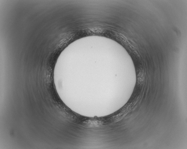 X0000115660464200912101055