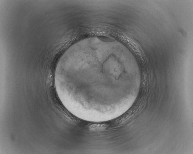 X0000115660465200912101055