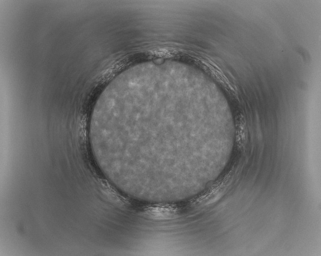 X0000115660466200912101055