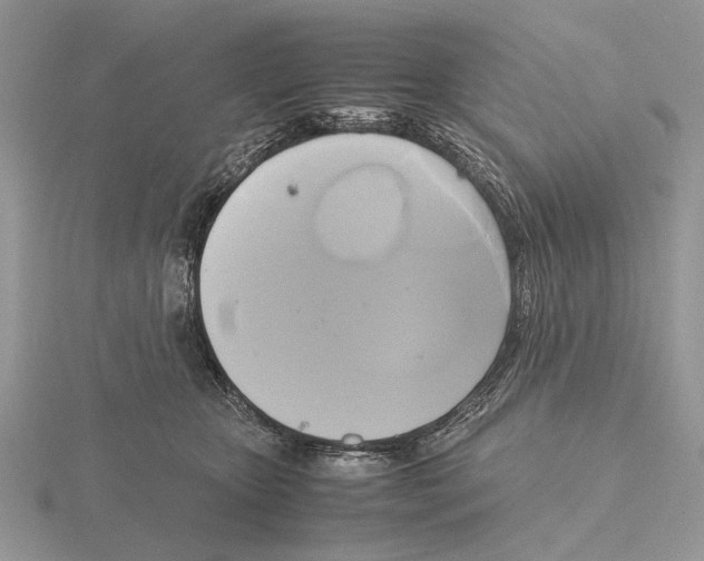 X0000115660467200912101055