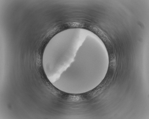 X0000115660469200912101055