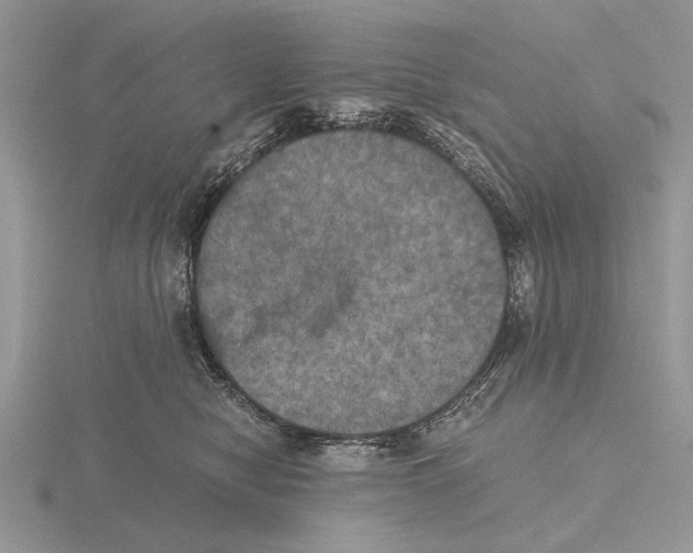 X0000115660470200912101055