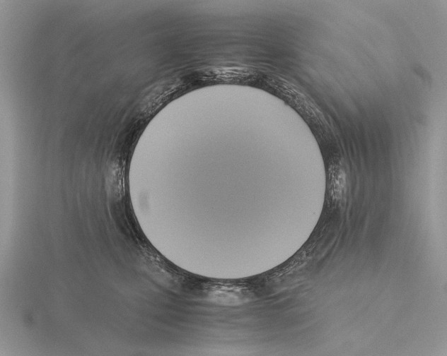 X0000115660471200912101055