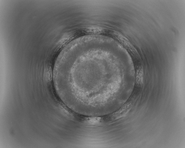 X0000115660474200912101055