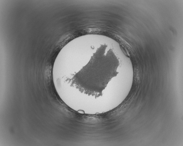 X0000115660475200912101055