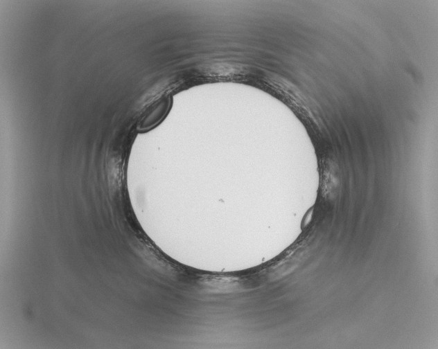 X0000115660476200912101055