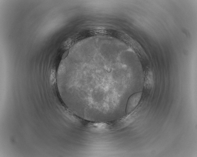 X0000115660478200912101055