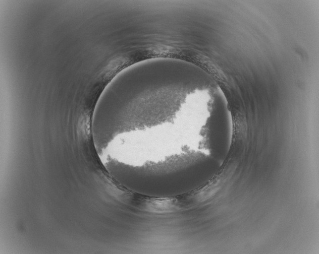 X0000115660479200912101055