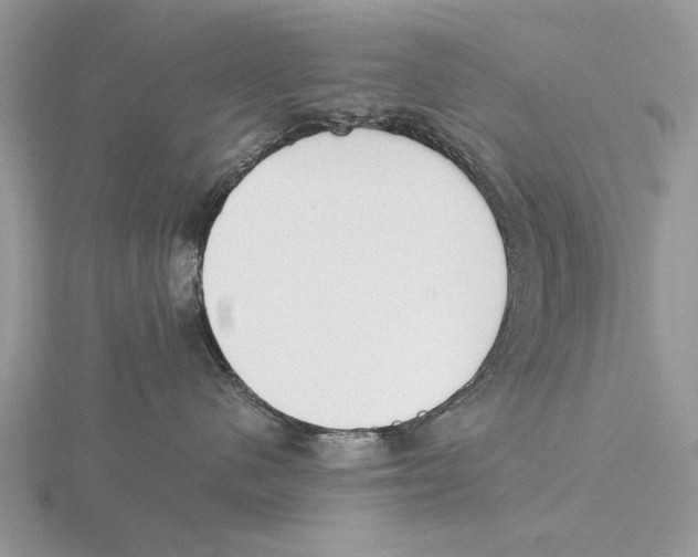 X0000115660480200912101055