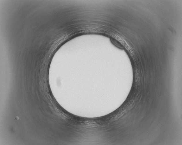 X0000115660481200912101055