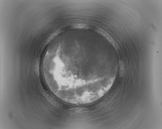 X0000115660482200912101055