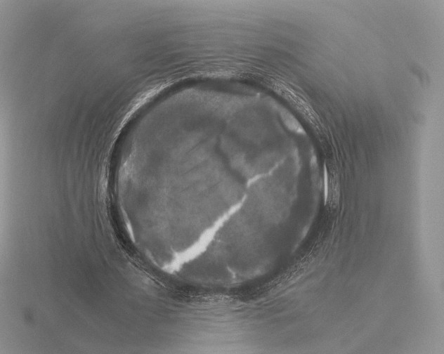 X0000115660483200912101055