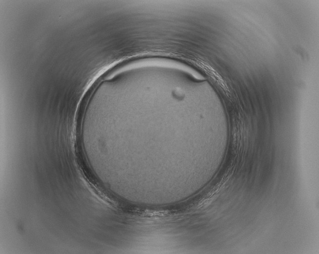 X0000115660484200912101055