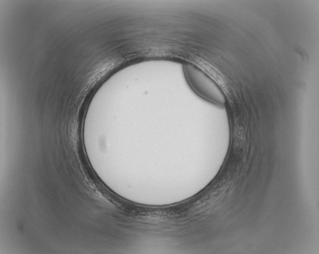 X0000115660485200912101055