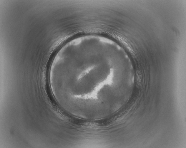 X0000115660487200912101054