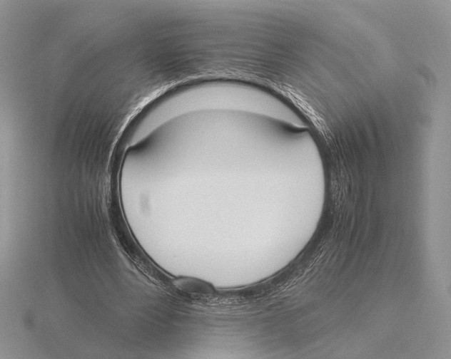 X0000115660488200912101054