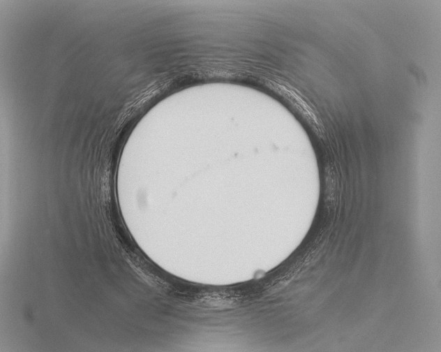 X0000115660489200912101054