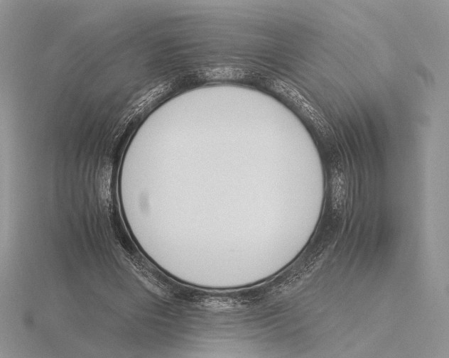 X0000115660490200912101054