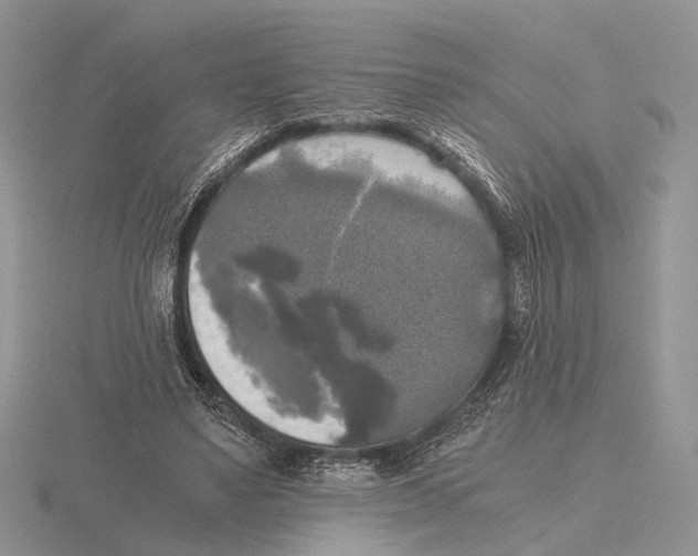 X0000115660491200912101054