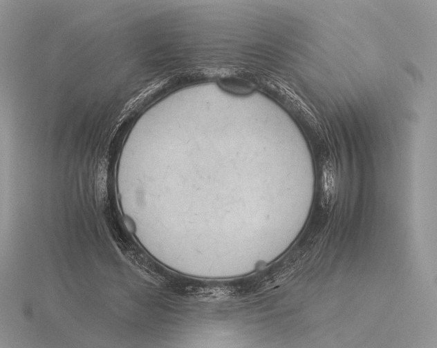 X0000115660492200912101054