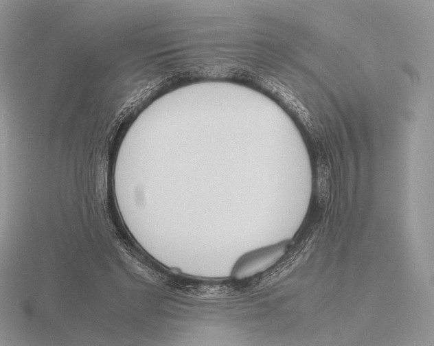 X0000115660493200912101054