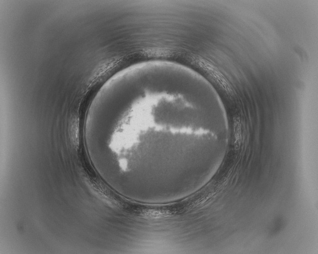 X0000115660494200912101054