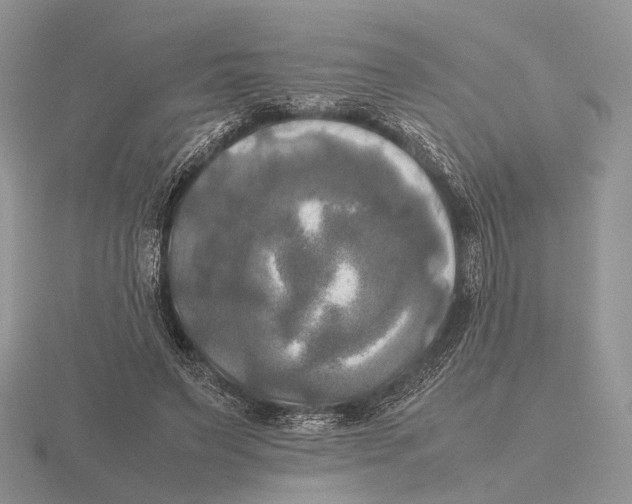 X0000115660495200912101054