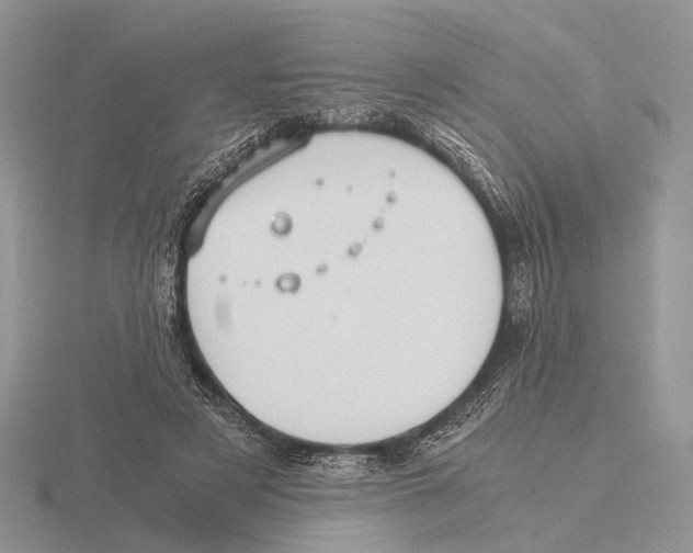 X0000115660497200912101054