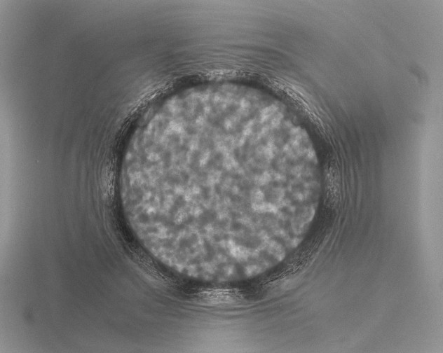 X0000115660499200912101054