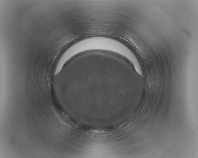 X0000115660500200912101054