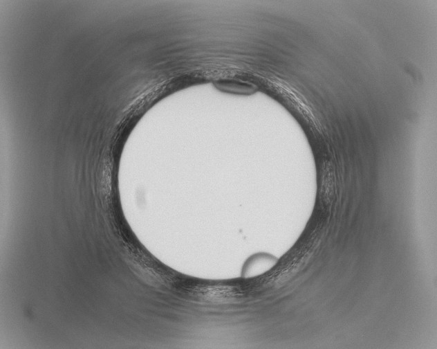 X0000115660501200912101054