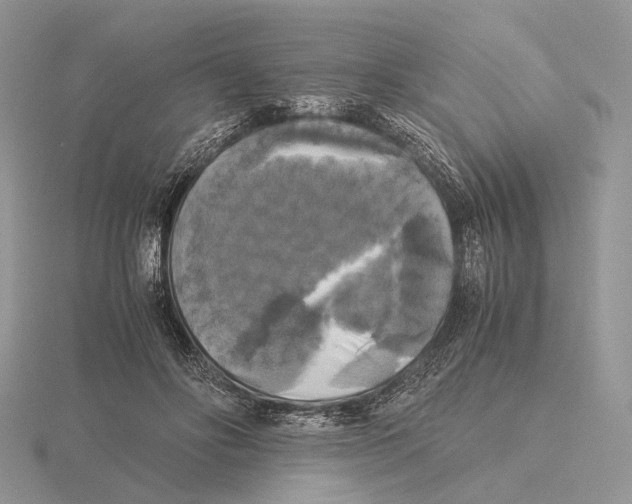 X0000115660502200912101054