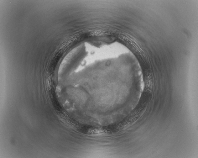 X0000115660503200912101054