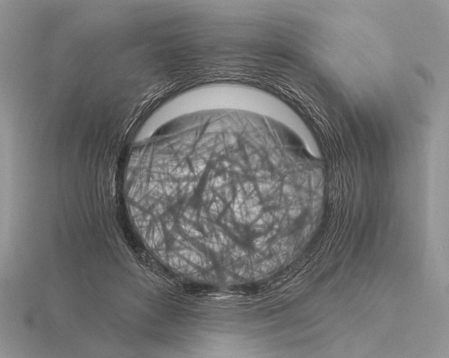 X0000115660504200912101054