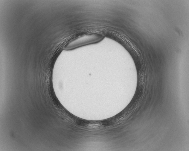 X0000115660505200912101054